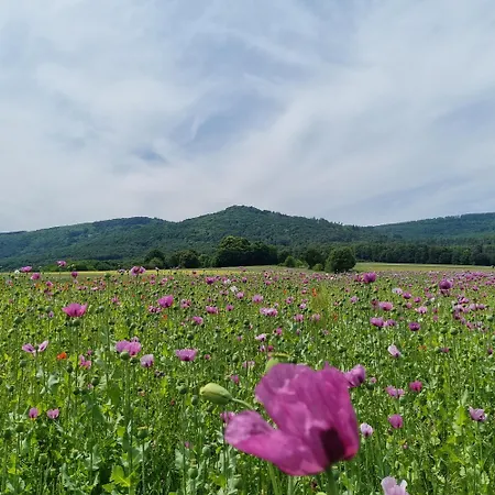 Am Kupferbach Lejlighed Wolfterode (Meissner)