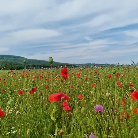 Am Kupferbach شقة *