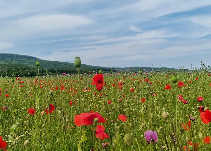 Am Kupferbach Appartement *